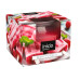 Doftljus i ask Berry Popsicle 12st