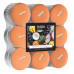 Doftvärmeljus Tropical Fruits 18 st