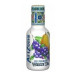 Arizona Blueberry PET 500 ml x 12 st