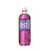 FESTIS BLUEBERRY 0,5lX 12st